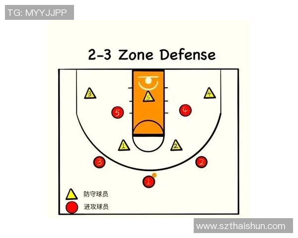 杭州篮球队战术解析:从进攻布局到防守策略的全面探讨